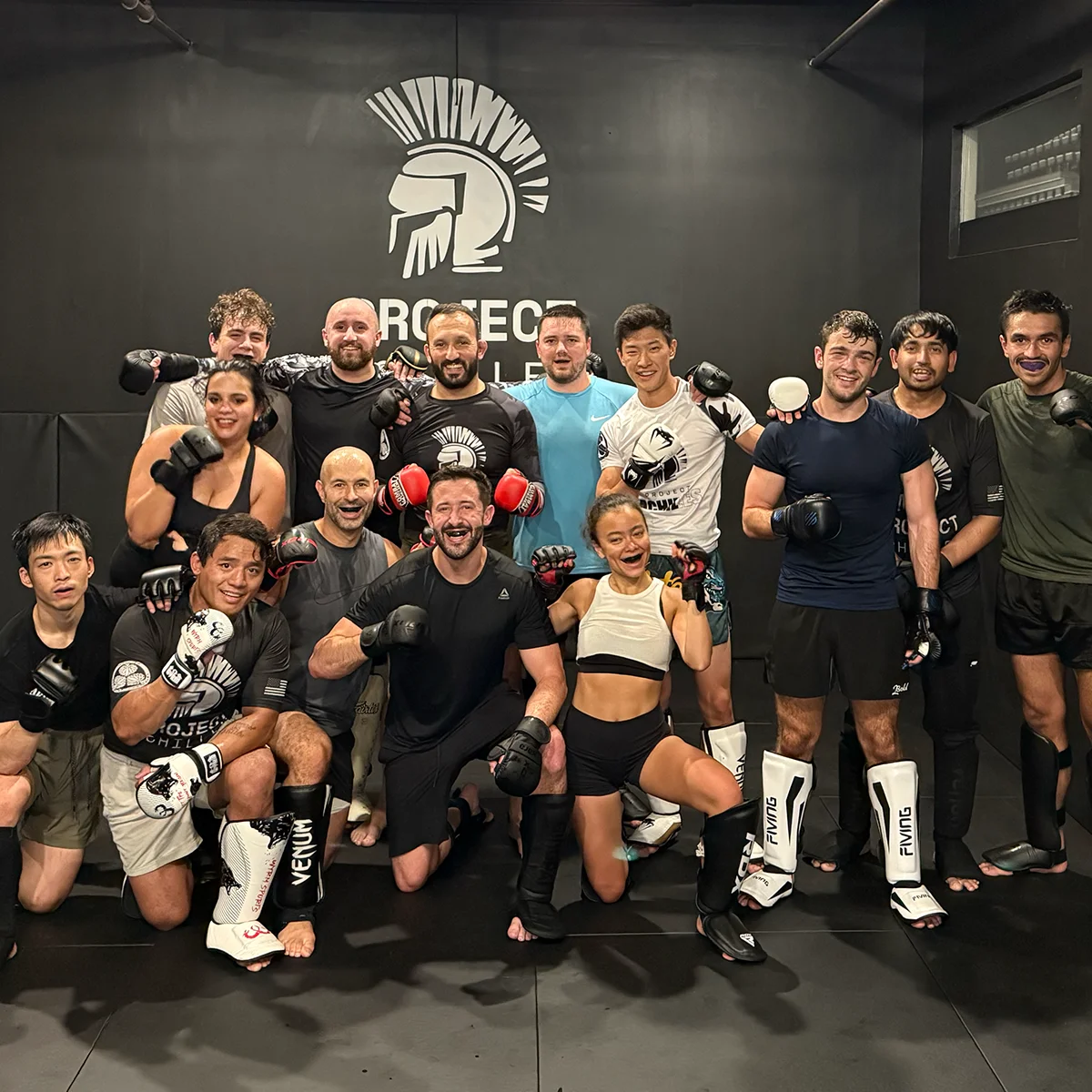 Project Achilles image